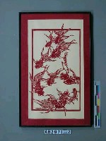 藏品(金魚)的圖片